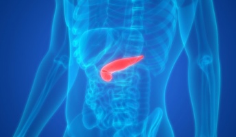 【来たっ!】iPS細胞を使いブタの体内で人間の膵臓を作成 明治大 年度内にも実験開始へ
