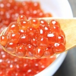 おさかなタウン