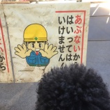 『ウェットにいこう！』の画像