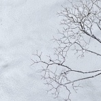 空もよう、心もよう ～ sora koko.