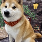 大分県別府市 ペットショップ ワンラブ ゆめタウン別府店のスタッフブログ