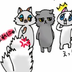 コスモス村＊村長blog