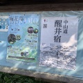 🌸【真夏でも涼しい！】清流に咲く夏の妖精「梅花藻」と中山道・醒井宿を歩いてきました｜（滋賀県米原市）