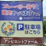 ツイてる♪ツイてる♪ありがとう♪