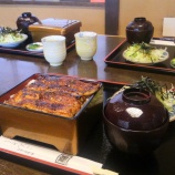 �ذ��̤λ����ȹ�žȿ�� �����̤Ϥ���ʤ������ʤ����٤β���