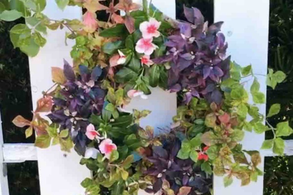 きの子のdiyガーデン ハンギングリース