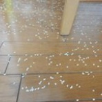 ちょいと　立ち話