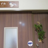 『節分　～疫病退散してしまえっ！～』の画像