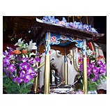 『♪花まつり♪』の画像