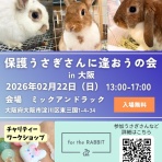 for the RABBIT【保護うさぎの里親探し】