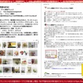 ファン扇型アレンジ(4)／生涯学習市民講座KAFAC