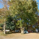 栃木拠点・11月21日