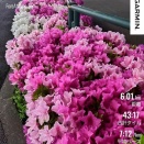 ４月最初で最後の？夜ラン