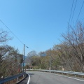 しまなみ海道・大三島