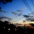 電柱好きの、電柱好きによる、電柱好きの為の自己満足ブログ。