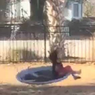 猫の動画 ねこわん！