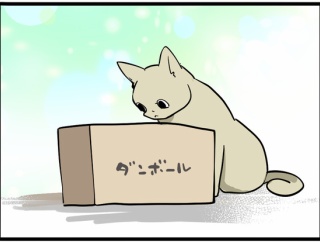可愛さ判定。わかる!?
