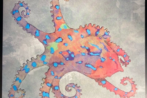 CDまとめ売り24枚＋DVD1枚 ovalmultimedia_ov4d-24m-kb-