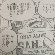 Gac ゲーム アニメ 漫画便 ワンピース 801話 開幕宣言 ネタバレ感想 麦わら一味それぞれ懸賞金アップ サンジの身に何が の画像一覧 2