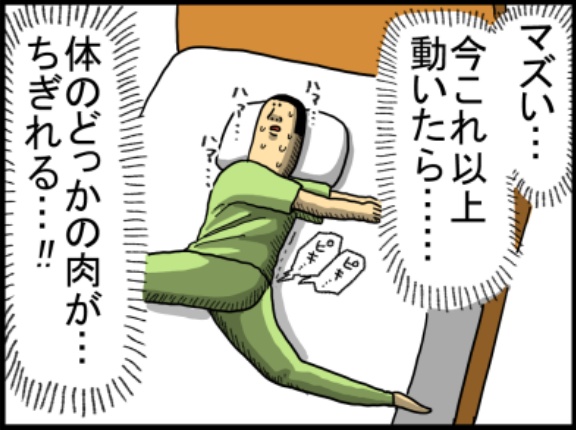 これが老化ってやつかよ