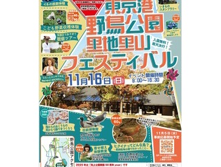 11/16フェスティバル開催！
