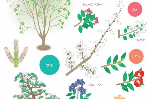 見てわかるイラスト果物づくり 見てわかる イラスト 果物づくり | 川俣 惠利 |本 | 通販 | Amazon