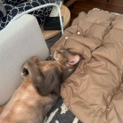 おじさんの休日的な…