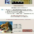 「🆘 鑑札情報ケース」(犬用迷子札ケース)