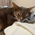 パジャマの上着取られちゃった(*´ω`*)