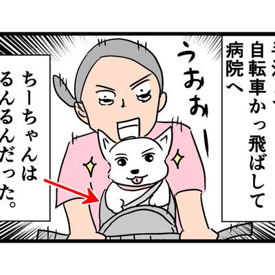 ちーちゃんっ