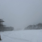 【JSBA公認】網張スノーボードスクール