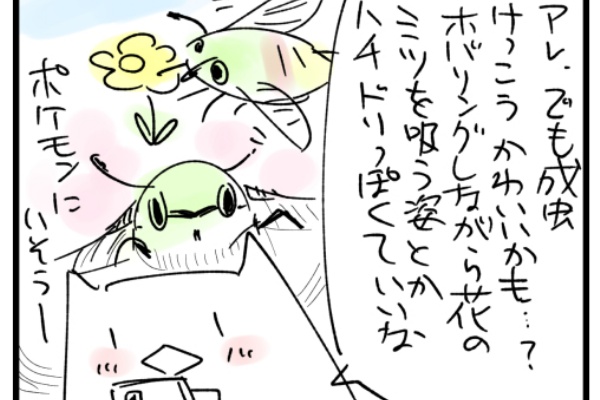 むすめ あおむしを飼う 写真は無いけど虫が苦手な方はご注意 むすめ雑記帳 Powered By ライブドアブログ むすめ あおむしを飼う 写真は無いけど虫が苦手な方はご注意 むすめ雑記帳 Powered By ライブドアブログ