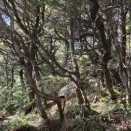 小川山（第１回月齢登山） 2026.10.17