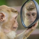 創設者物語：アイリーン・キャディ㉜　変化を生きるためのアファメーション
