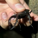 ブログを開いてみました…