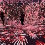 * Fleur de Coeur *ココロノハナ