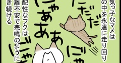 分離不安な子猫の対応