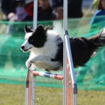 フォトグラファーチコソラのブログ