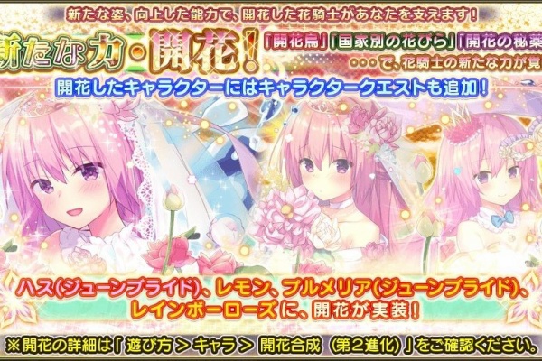 フラワーナイトガールプレイ日記 特殊極限任務 フラワーナイトガールプレイ日記 特殊極限任務