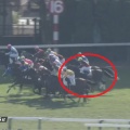 11/15 二歳新馬(牝)芝1600m【クイーンズレイン《初戦》】