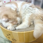 大きな地震でしたが、無事です。