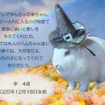 ペットセレモニーベル天国の天使達