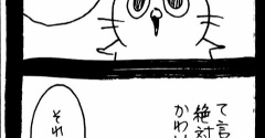 赤ちゃん自認ねこ2