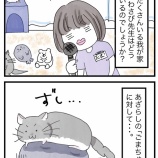 『ぬいとわさび先生の関係性について』の画像