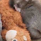 ジグソーパズル 