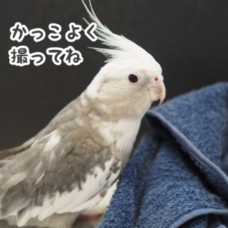 NEW!ユニブログ