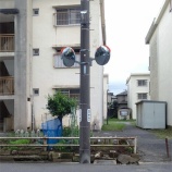『公約に対しての取り組みについて（～2020.9末）』の画像