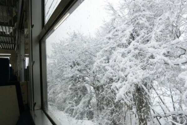 宝塚イメージガール一覧 雪組編 すみれの国の秘密箱