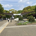 ディスカスの逍遥日誌