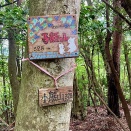 暑いからこそお山へ